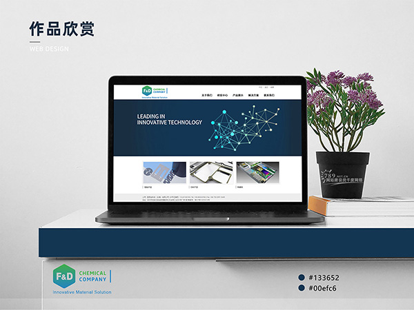 珠海网站建设哪家强？这家性价比超高！