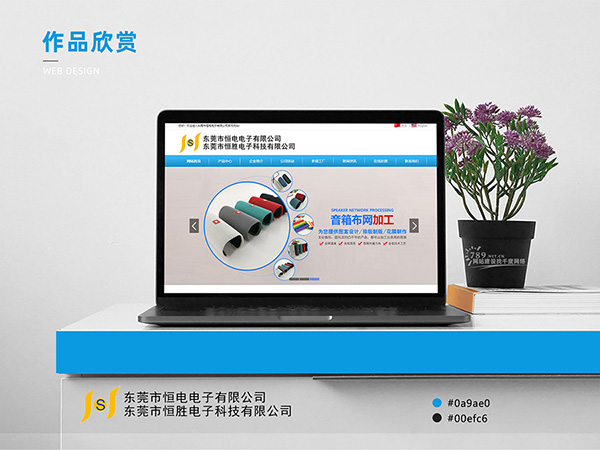 别家做网站贵又慢，这家 4000 元三年超划算！