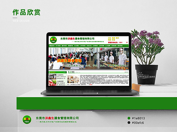 南阳建网站，助力企业腾飞！