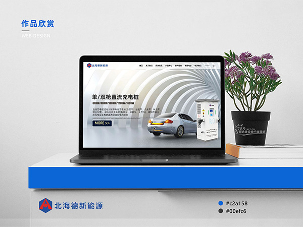 恩施做网站，这家公司性价比超高！