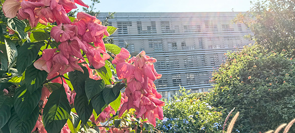 辅助网站搭建 辅助网站搭建