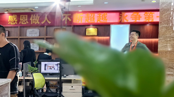 宁阳网站建设