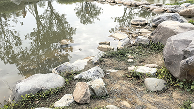 网站建设注意 网站建设注意
