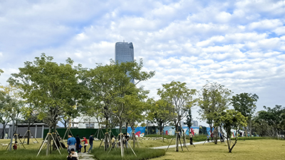 深圳网站建设与推广 深圳网站建设与推广