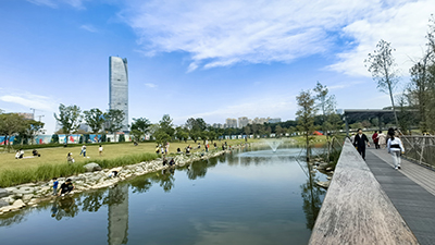 网站建设与设计 网站建设与设计