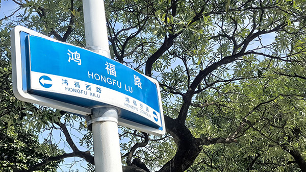 展示网站建设